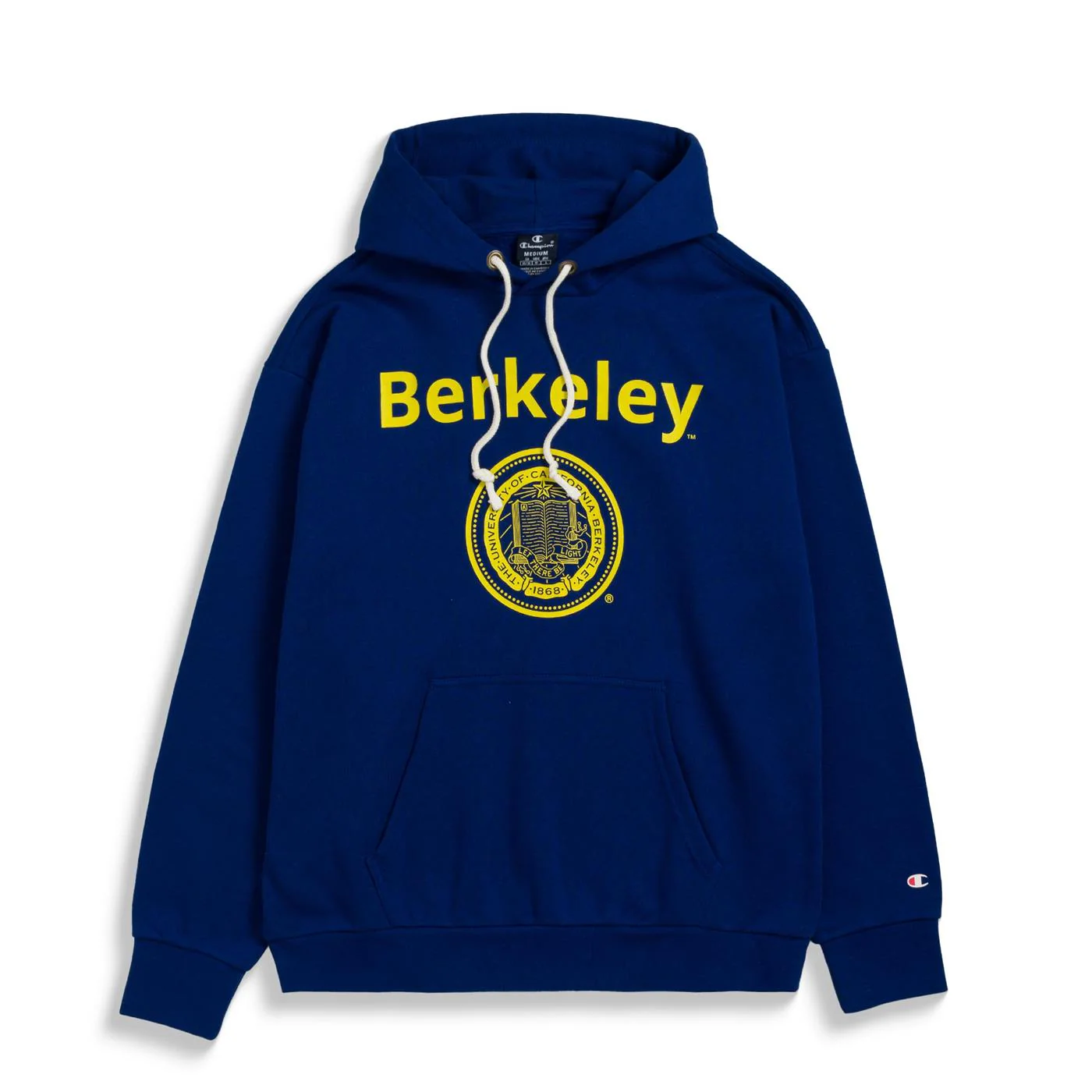 Champion Hooded Sweatshirt Navy