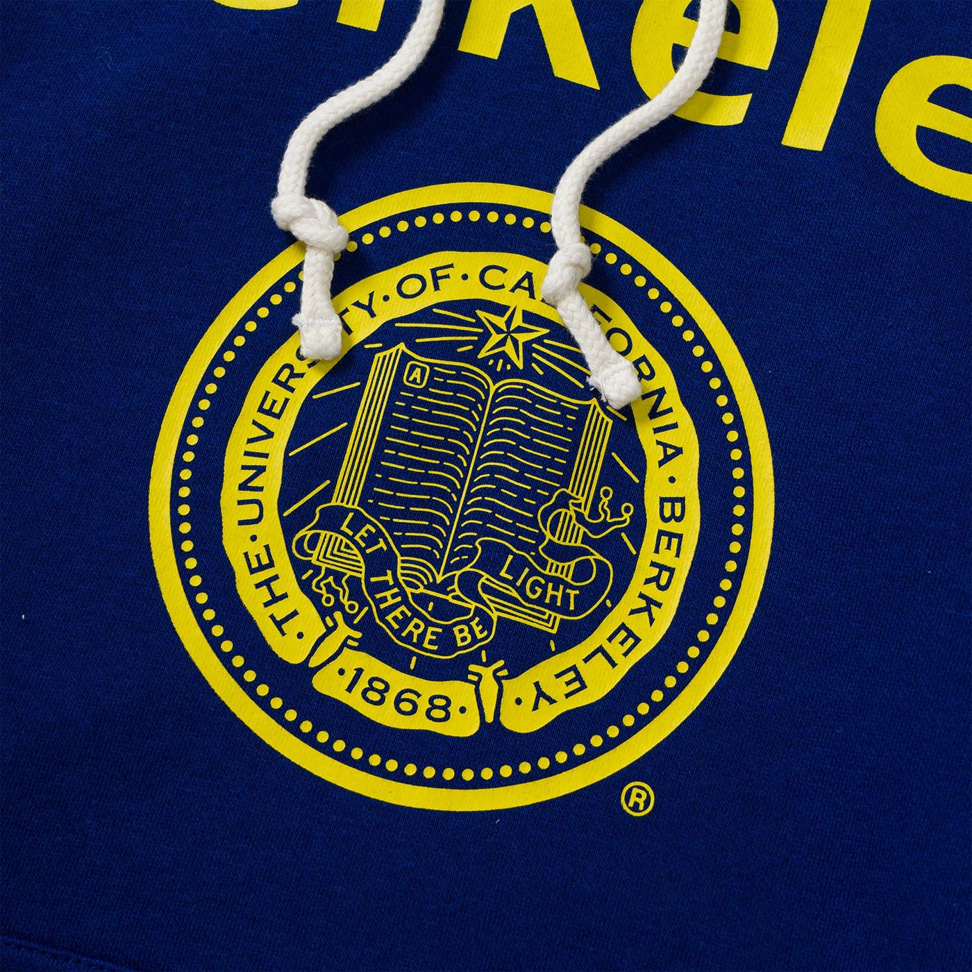Champion Hooded Sweatshirt Navy - Image 2