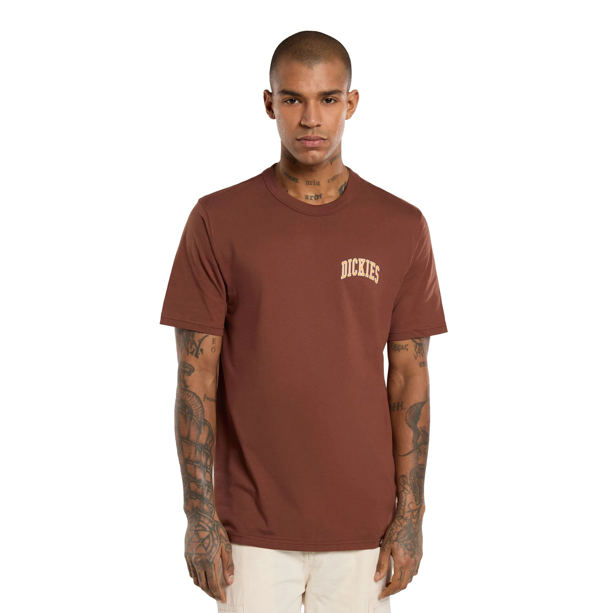 Dickies Aitkin Chest T-Shirt Cappucino