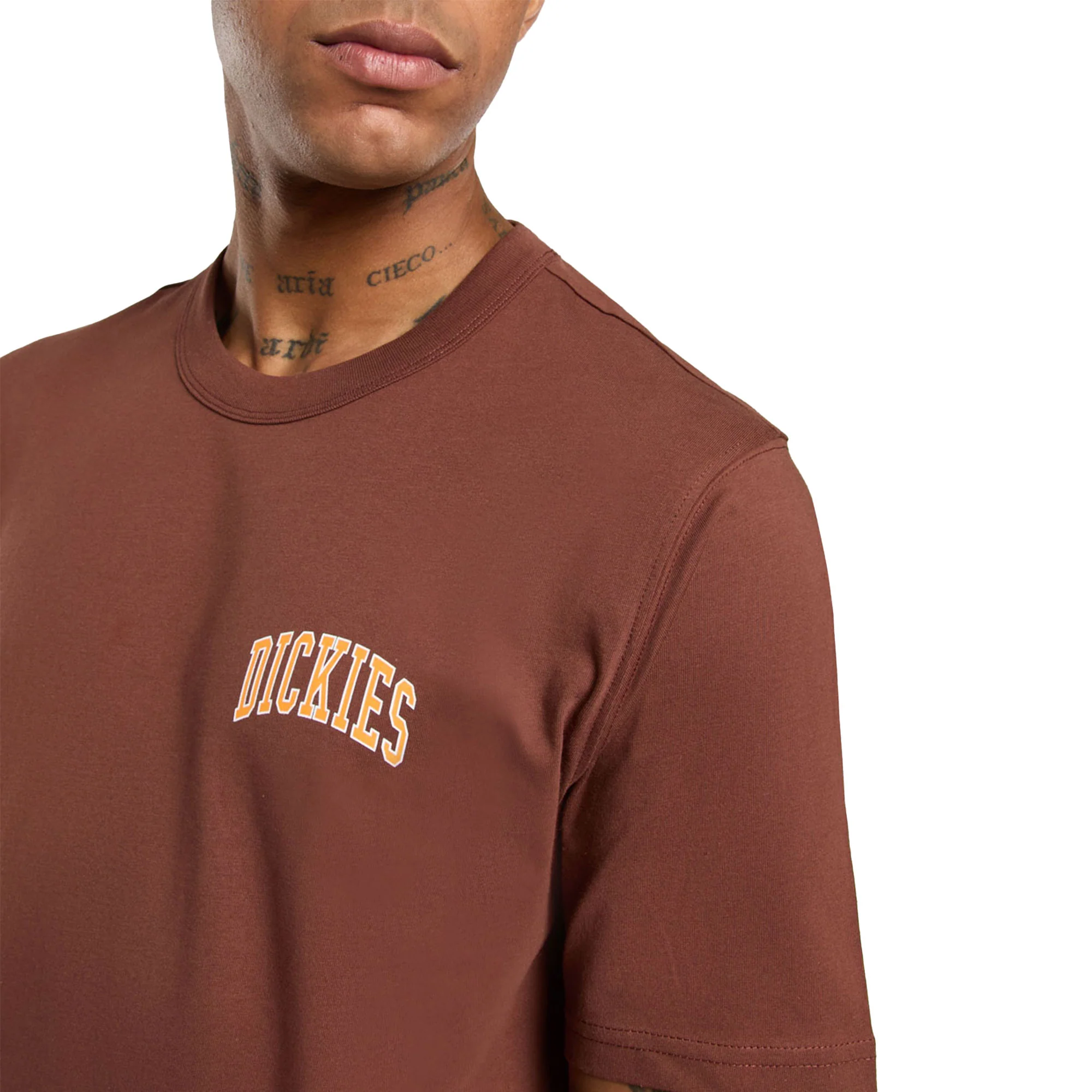 Dickies Aitkin Chest T-Shirt Cappucino - Image 3