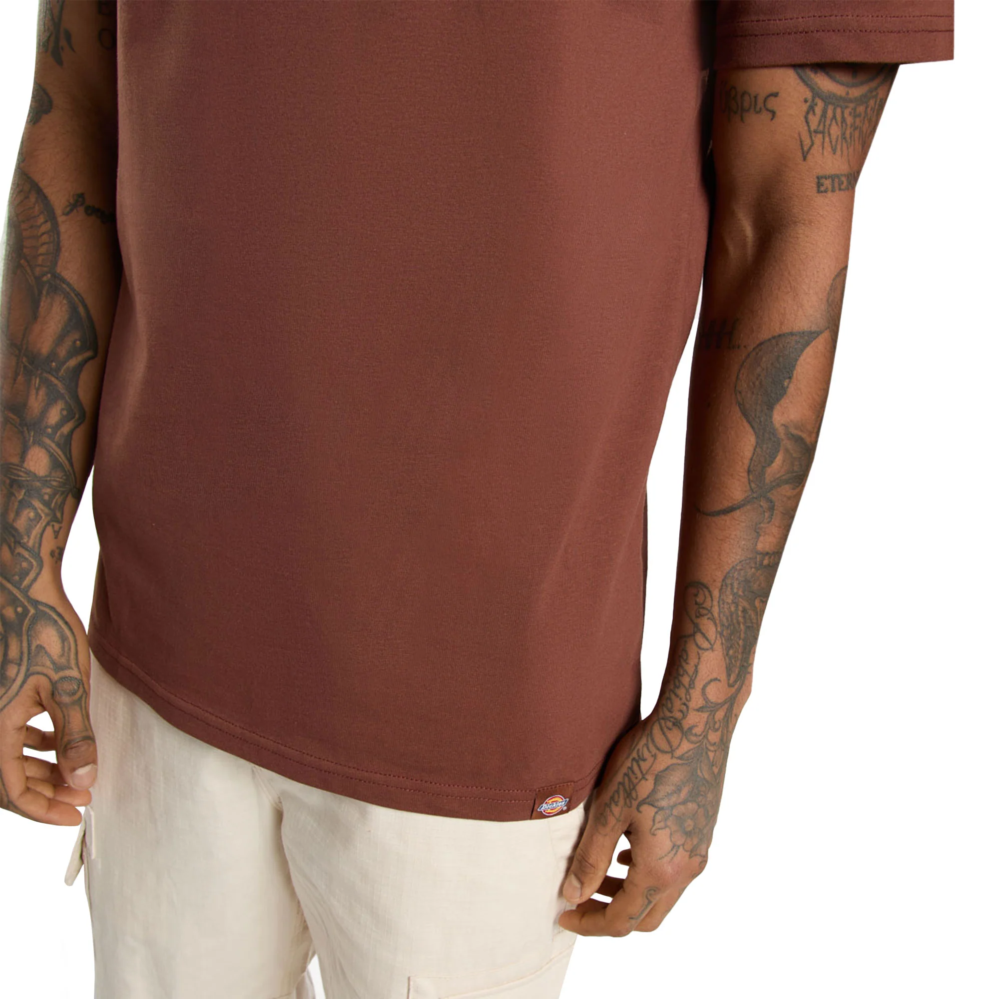 Dickies Aitkin Chest T-Shirt Cappucino - Image 4