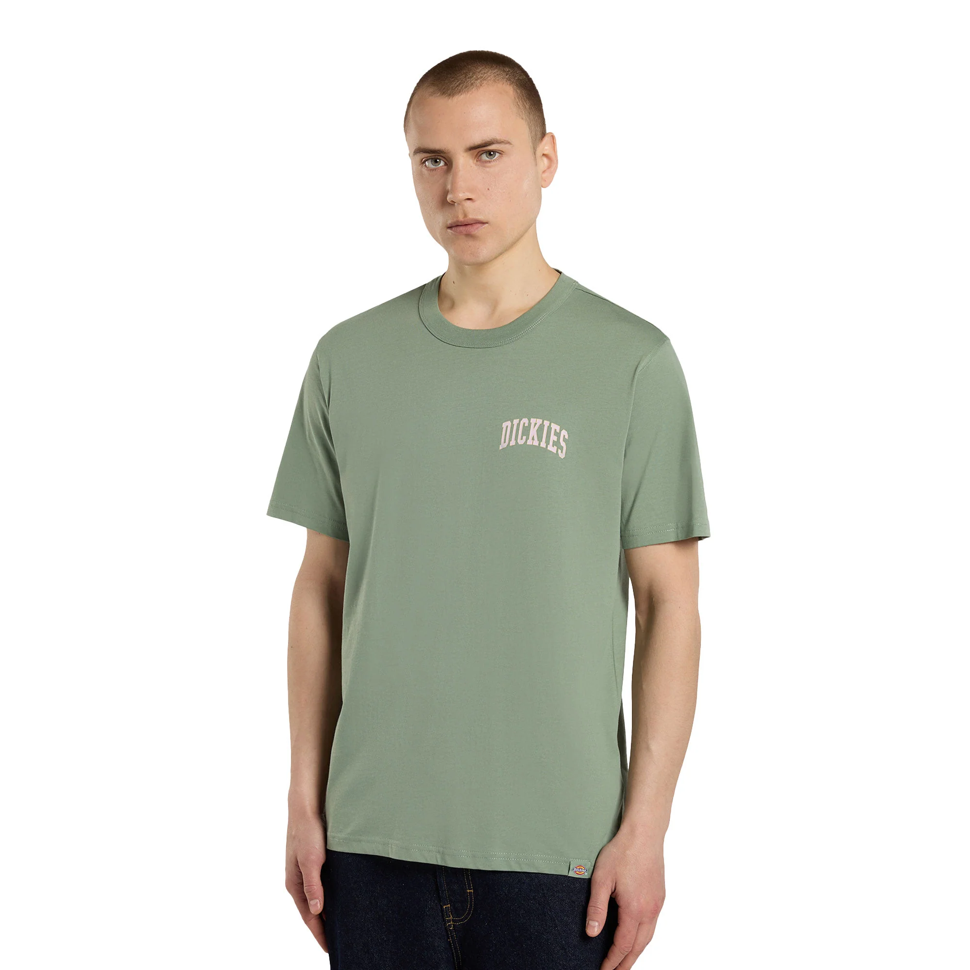 Dickies Aitkin Chest T-Shirt Sea Spray