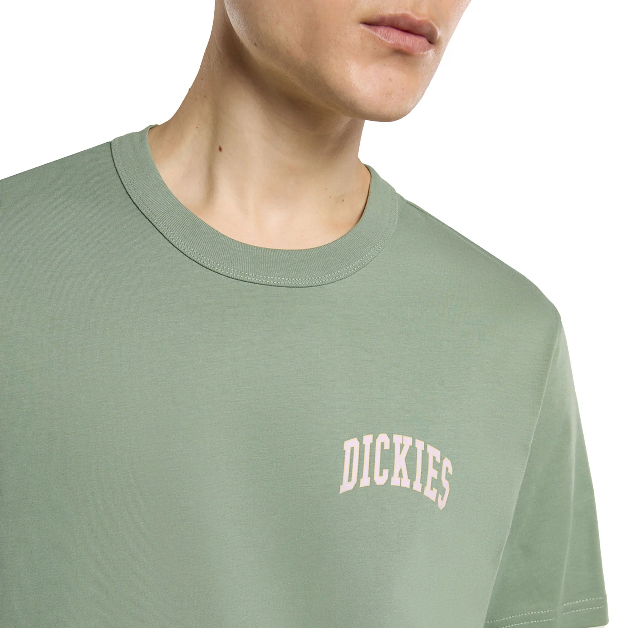 Dickies Aitkin Chest T-Shirt Sea Spray - Image 3