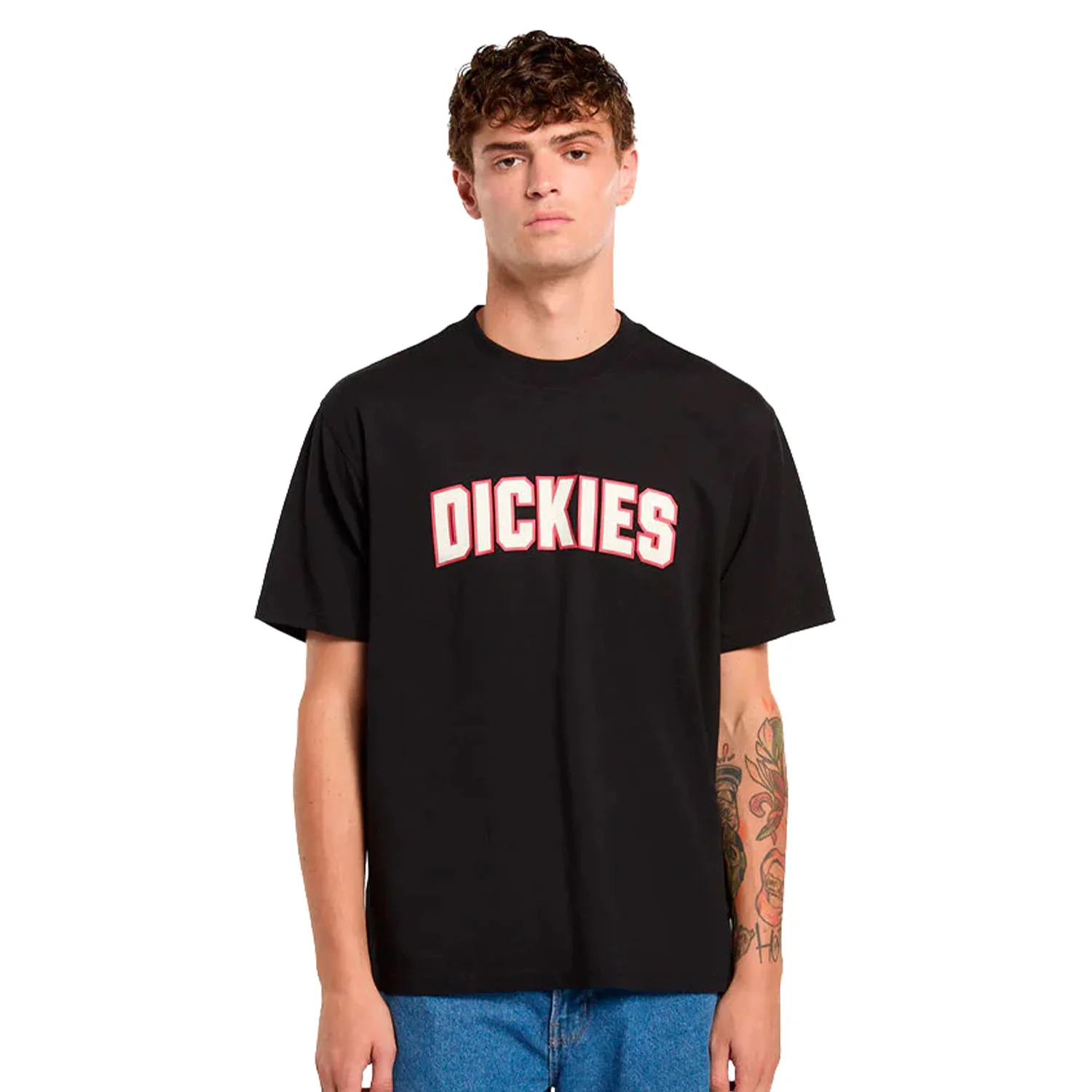 Dickies Aitkin T-Shirt Black