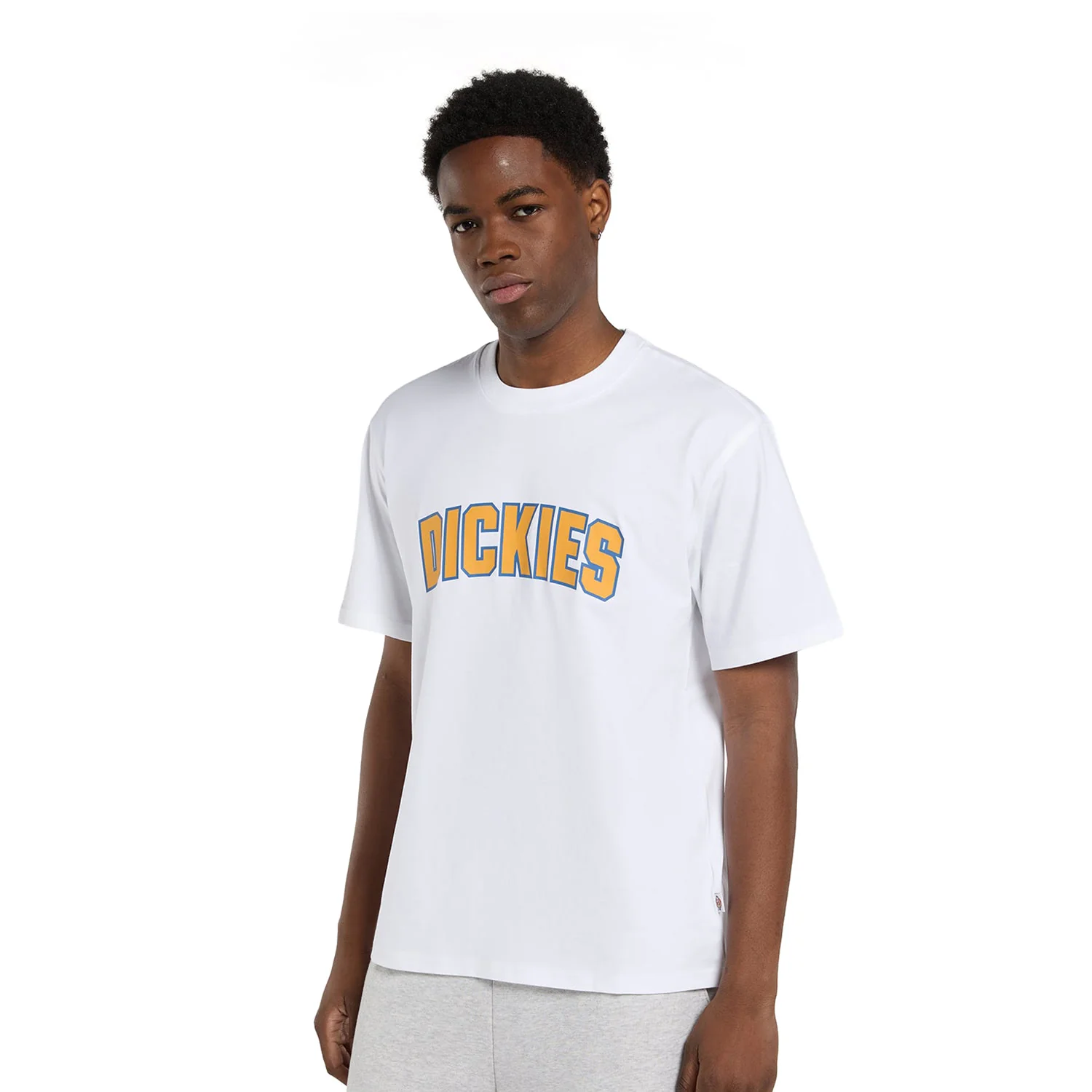 Dickies Aitkin T-Shirt White