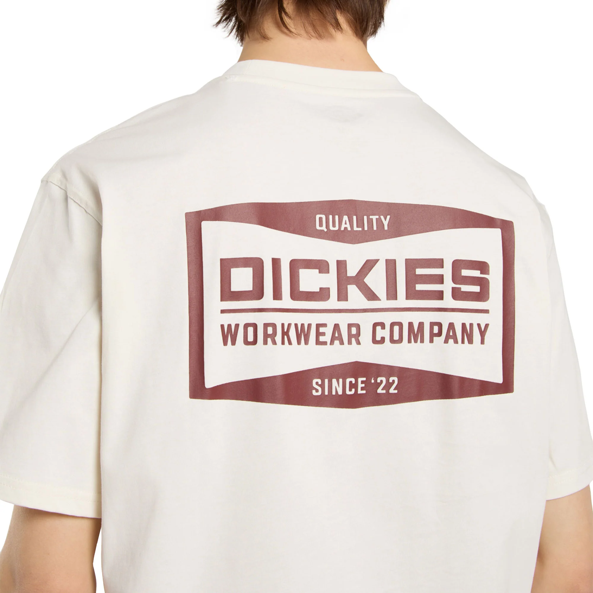 Dickies Bolivar SS Tee Egret - Image 4