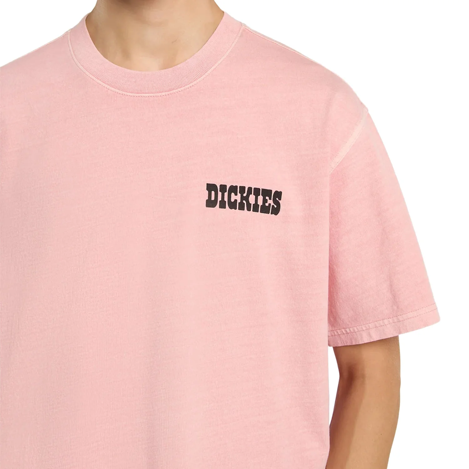 Dickies Buchtell SS Tee Bridal Rose - Image 3