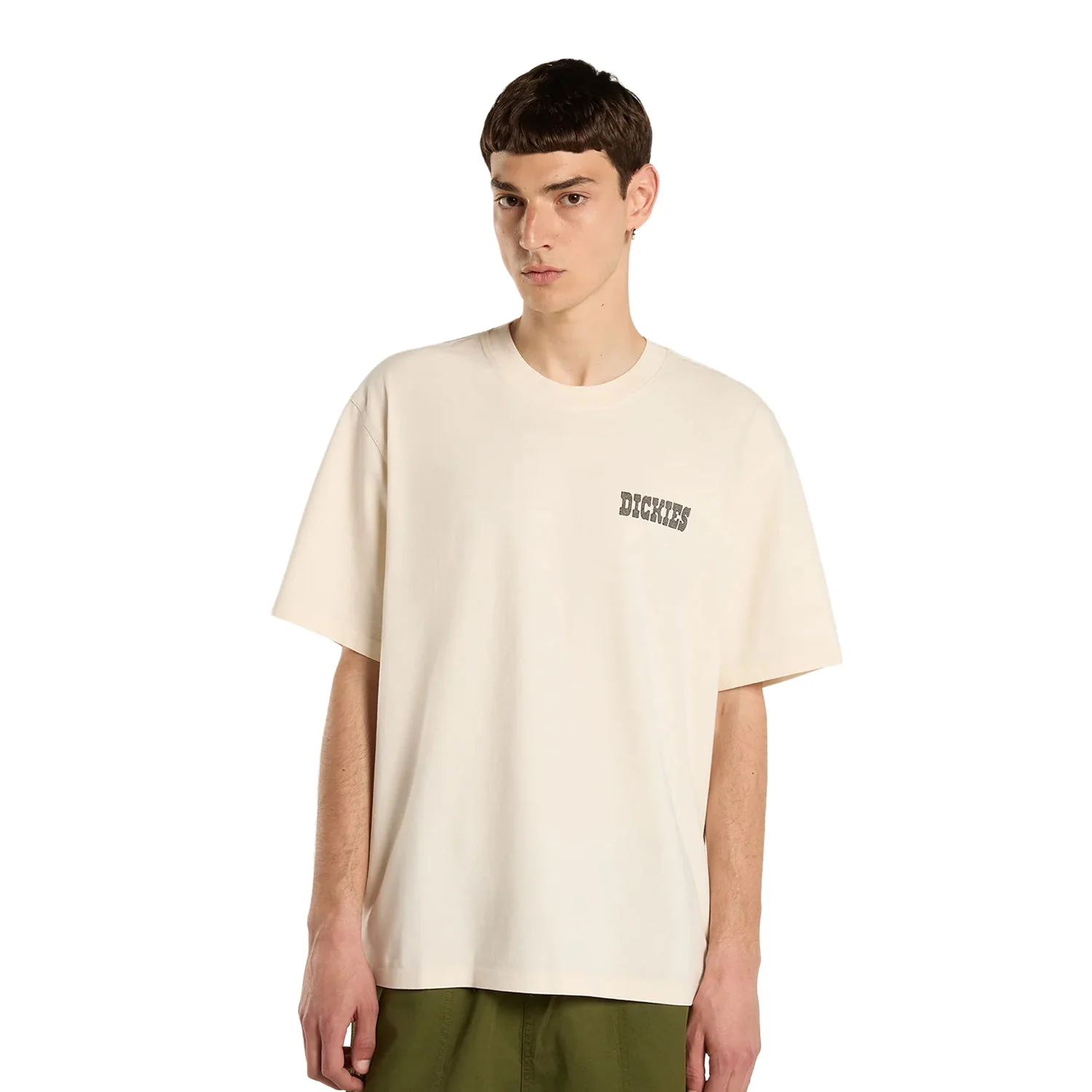 Dickies Buchtell SS Tee Egret