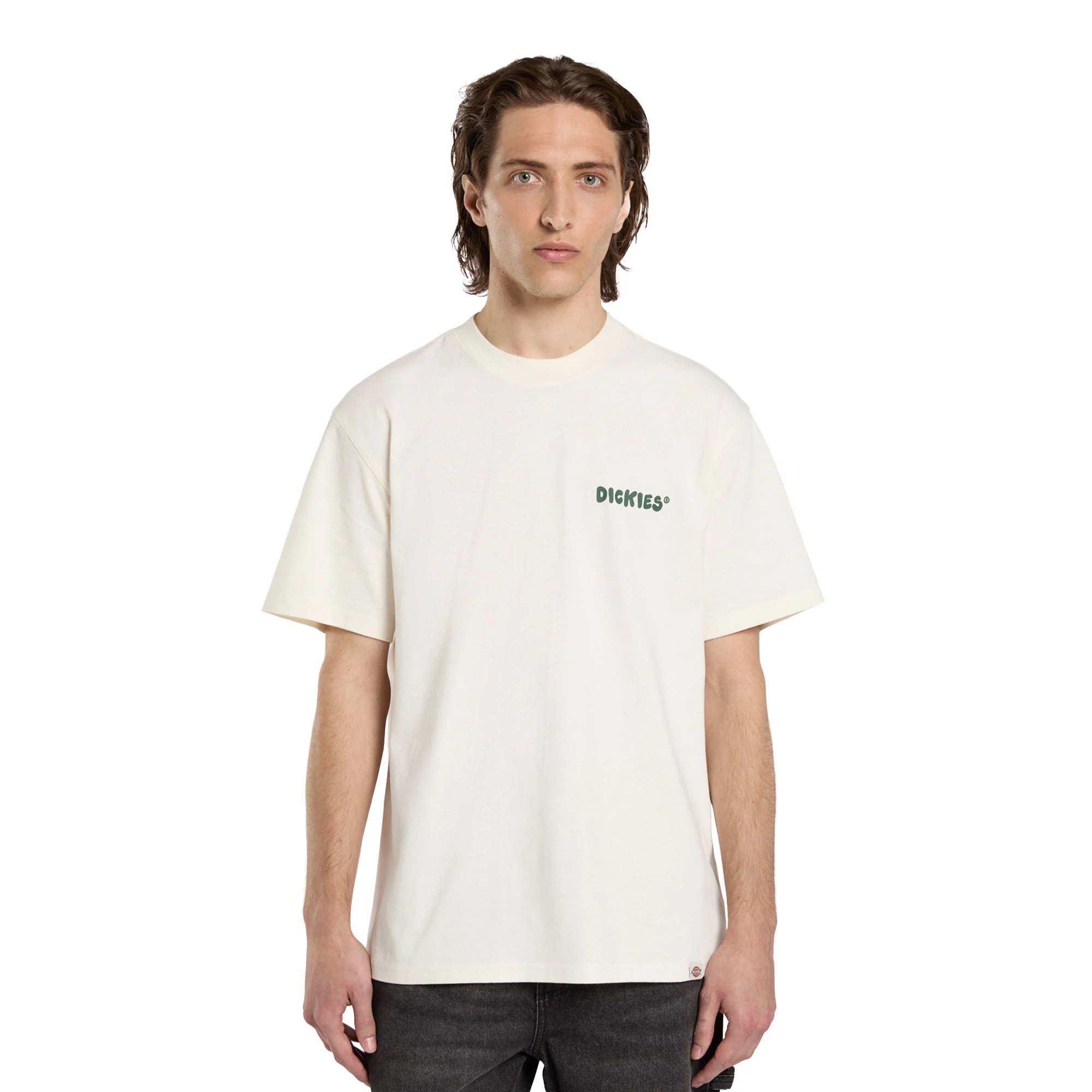 Dickies Gordonsville SS Tee Egret - Image 2