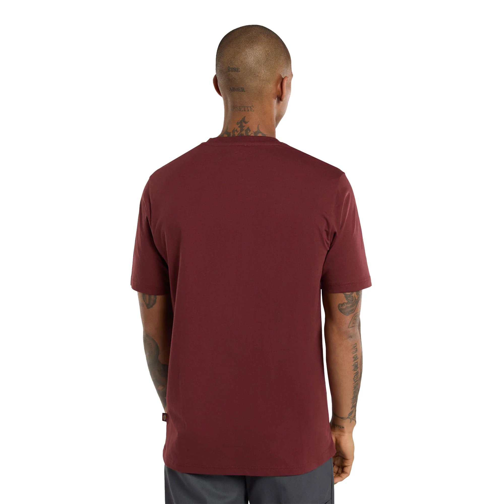 Dickies Mapleton T-Shirt Andorra - Image 2