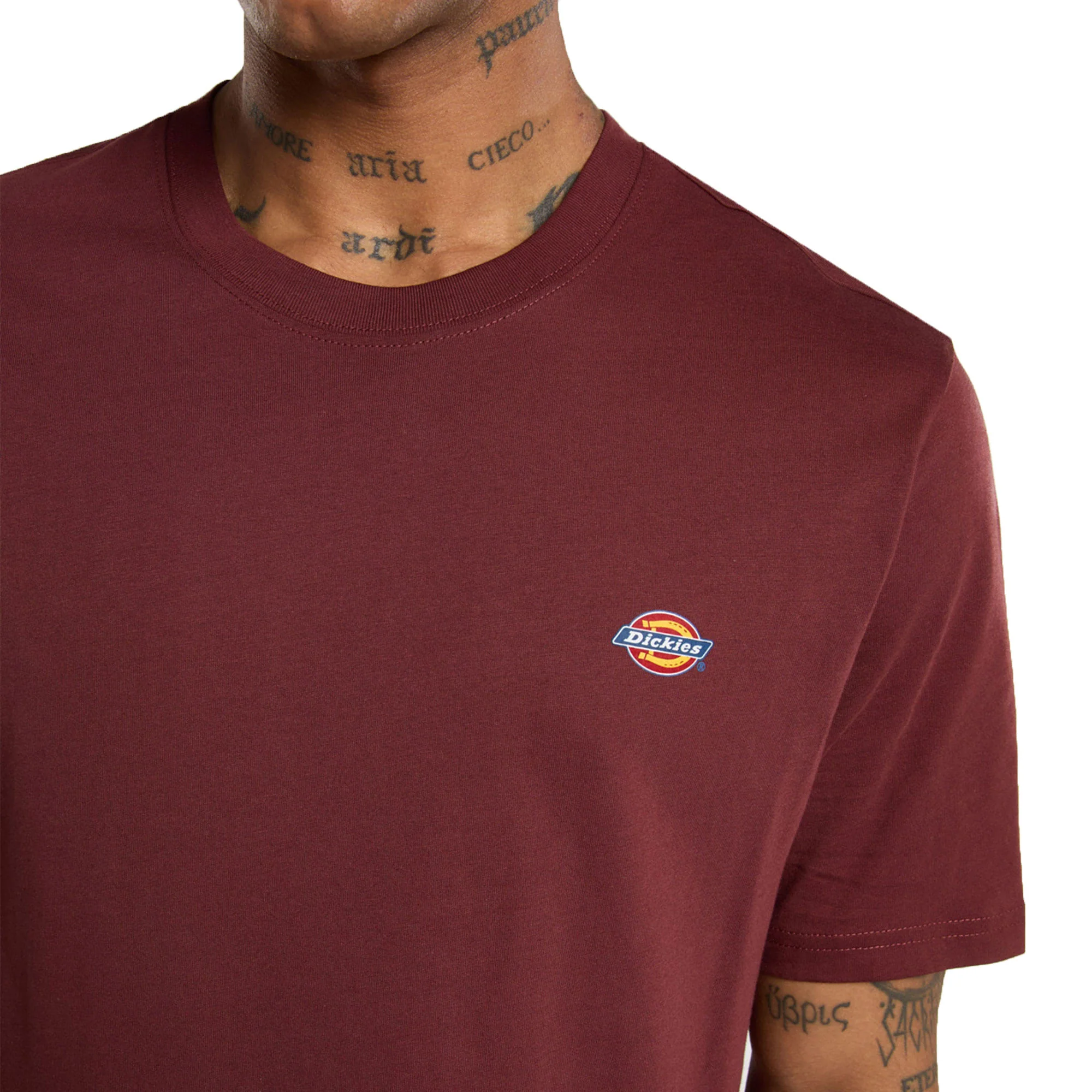 Dickies Mapleton T-Shirt Andorra - Image 3