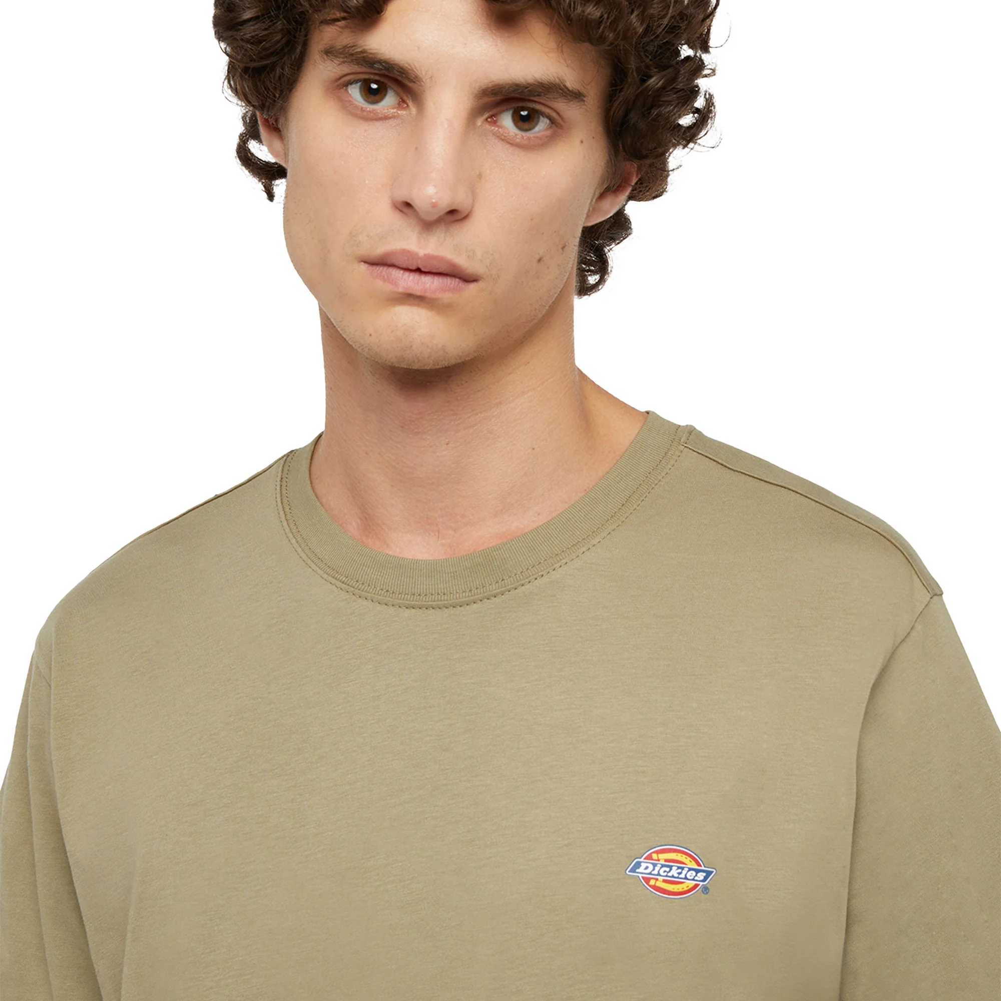 Dickies Mapleton T-Shirt Old Olive Green - Image 3