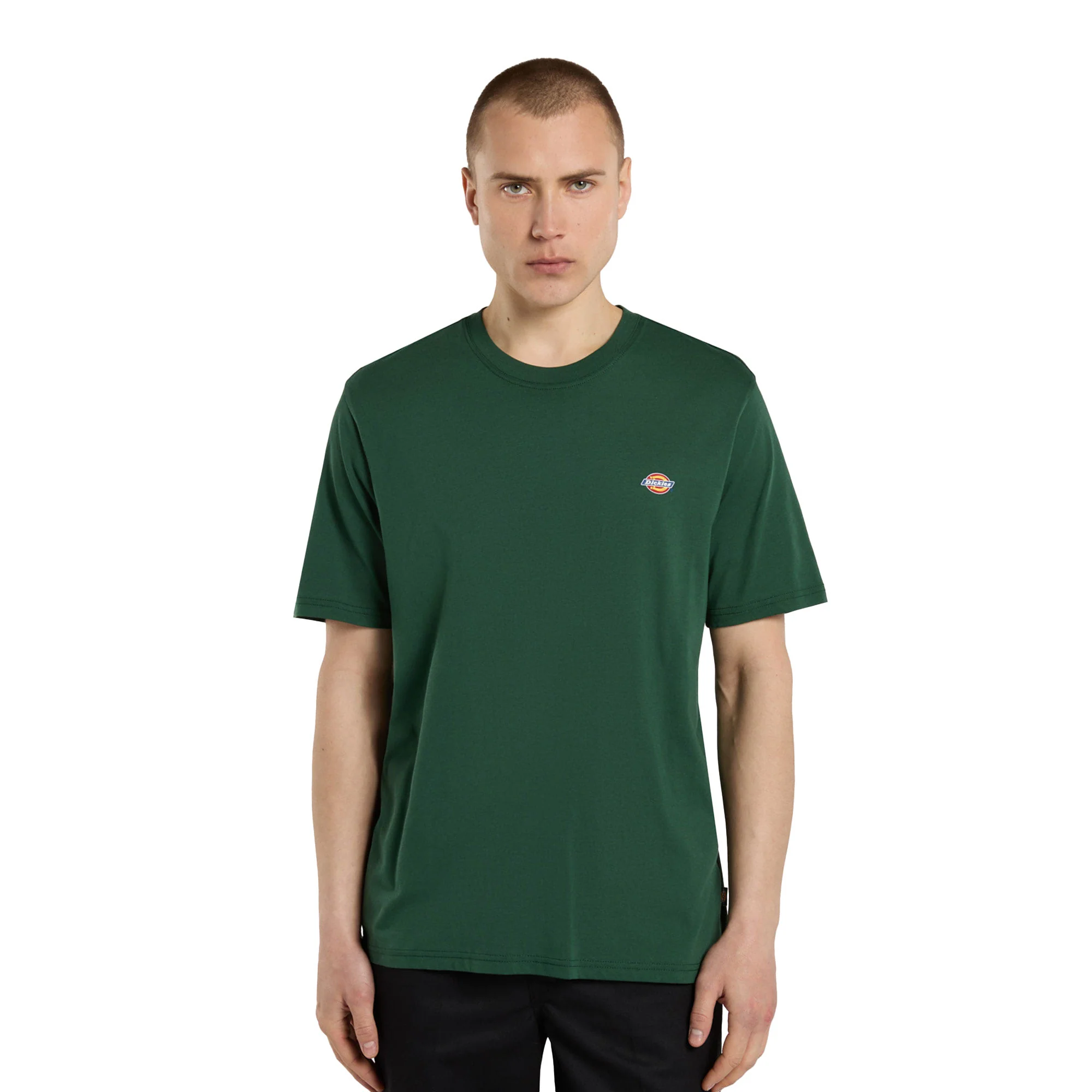 Dickies Mapleton T-Shirt Whitecap Pine Needle Green