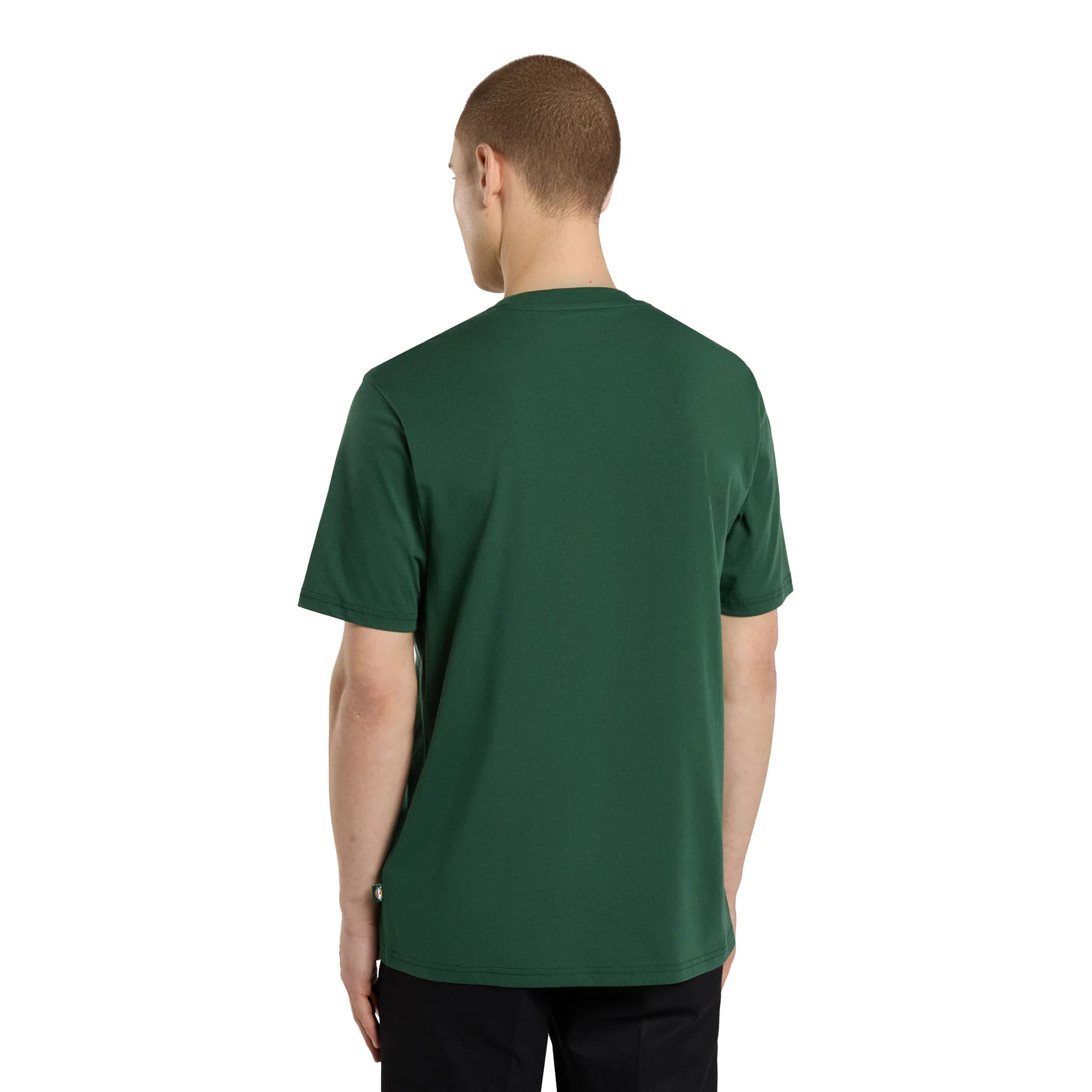 Dickies Mapleton T-Shirt Whitecap Pine Needle Green - Image 2