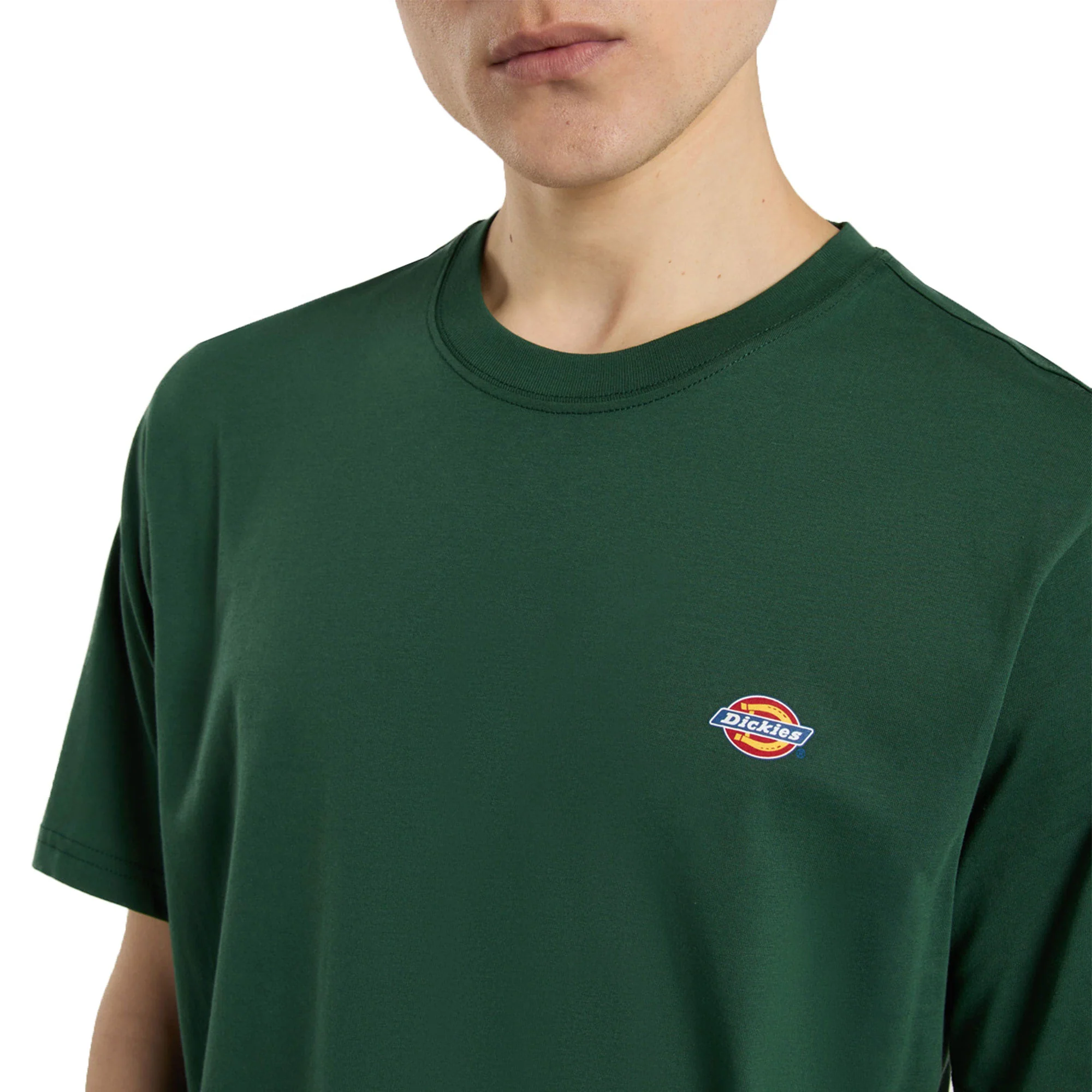 Dickies Mapleton T-Shirt Whitecap Pine Needle Green - Image 3