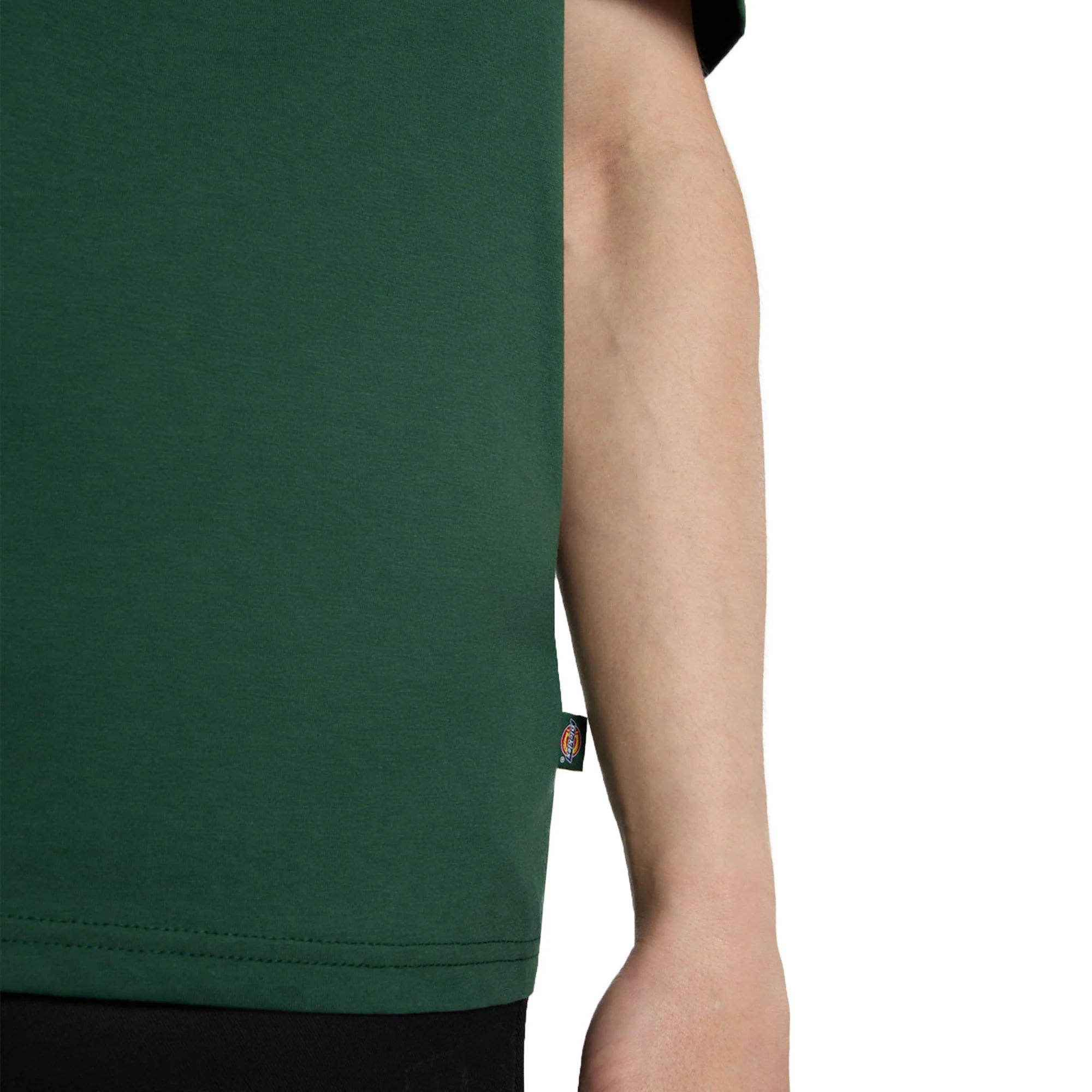 Dickies Mapleton T-Shirt Whitecap Pine Needle Green - Image 4