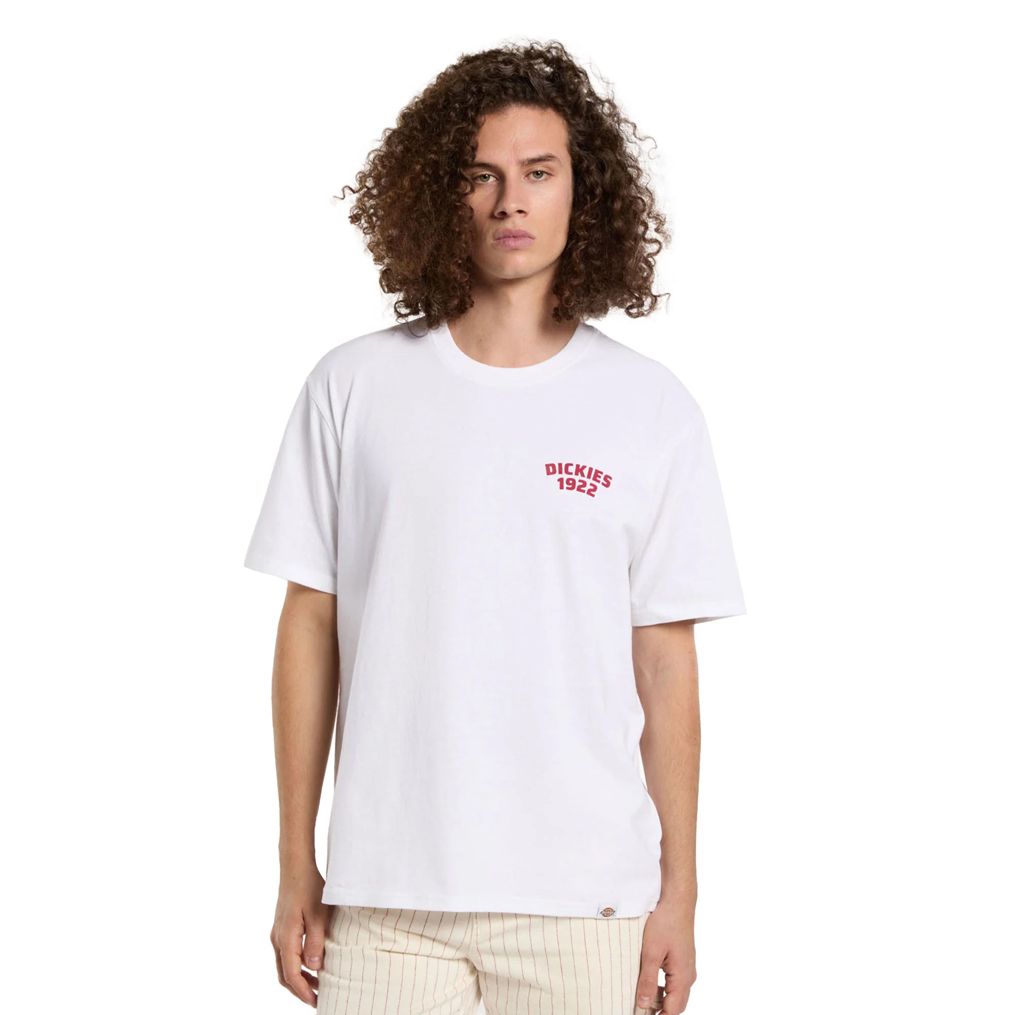 Dickies Mechanic SS Tee White - Image 2