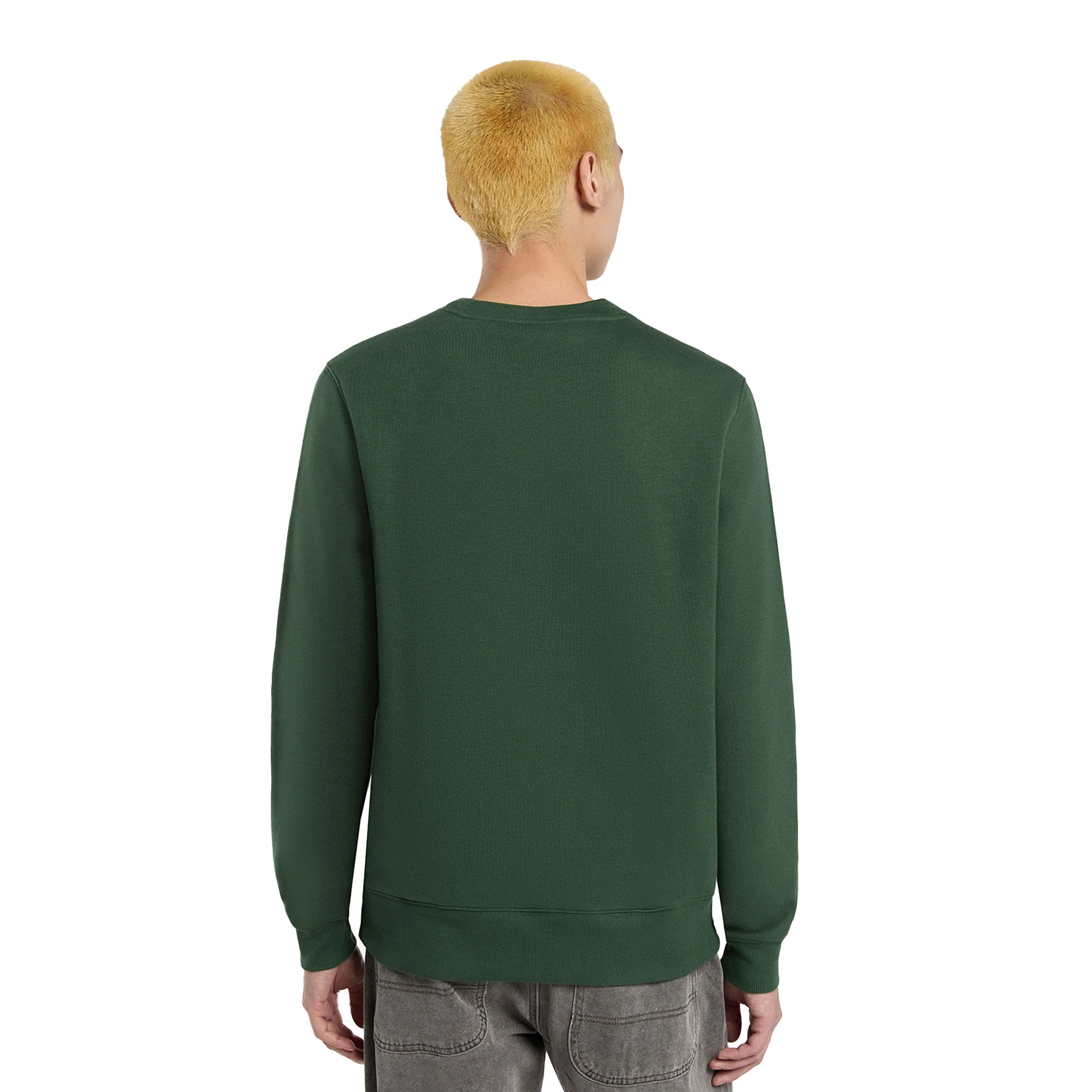 Dickies Oakport Crew Sweat Pine Needle Green - Image 2
