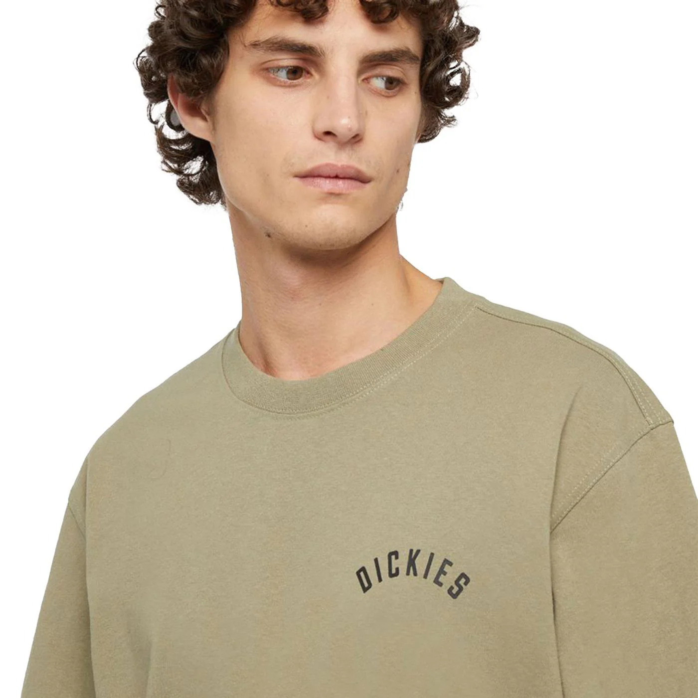 Dickies Panther SS Tee Imperial Green - Image 3