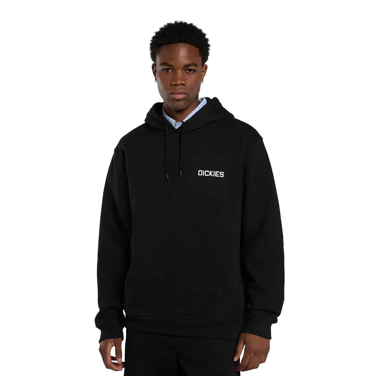 Dickies Payson Hoodie Black