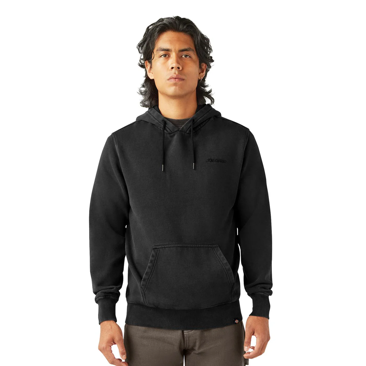Dickies Plentywood Hoodie Black