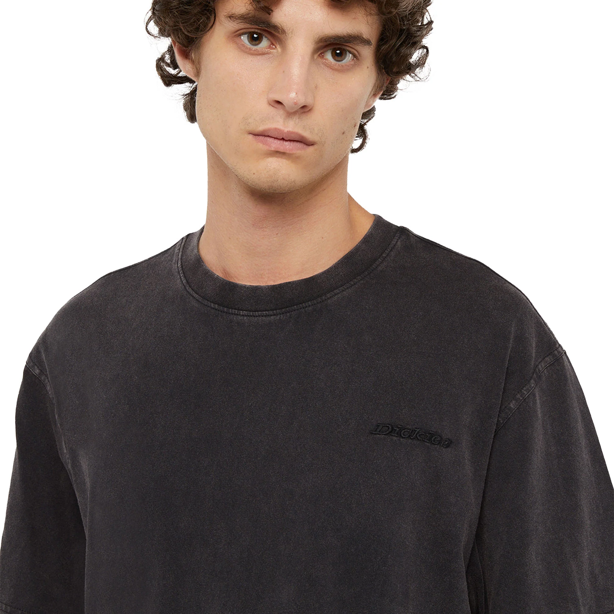 Dickies Plentywood SS Tee Double Dye/Acid Black - Image 3