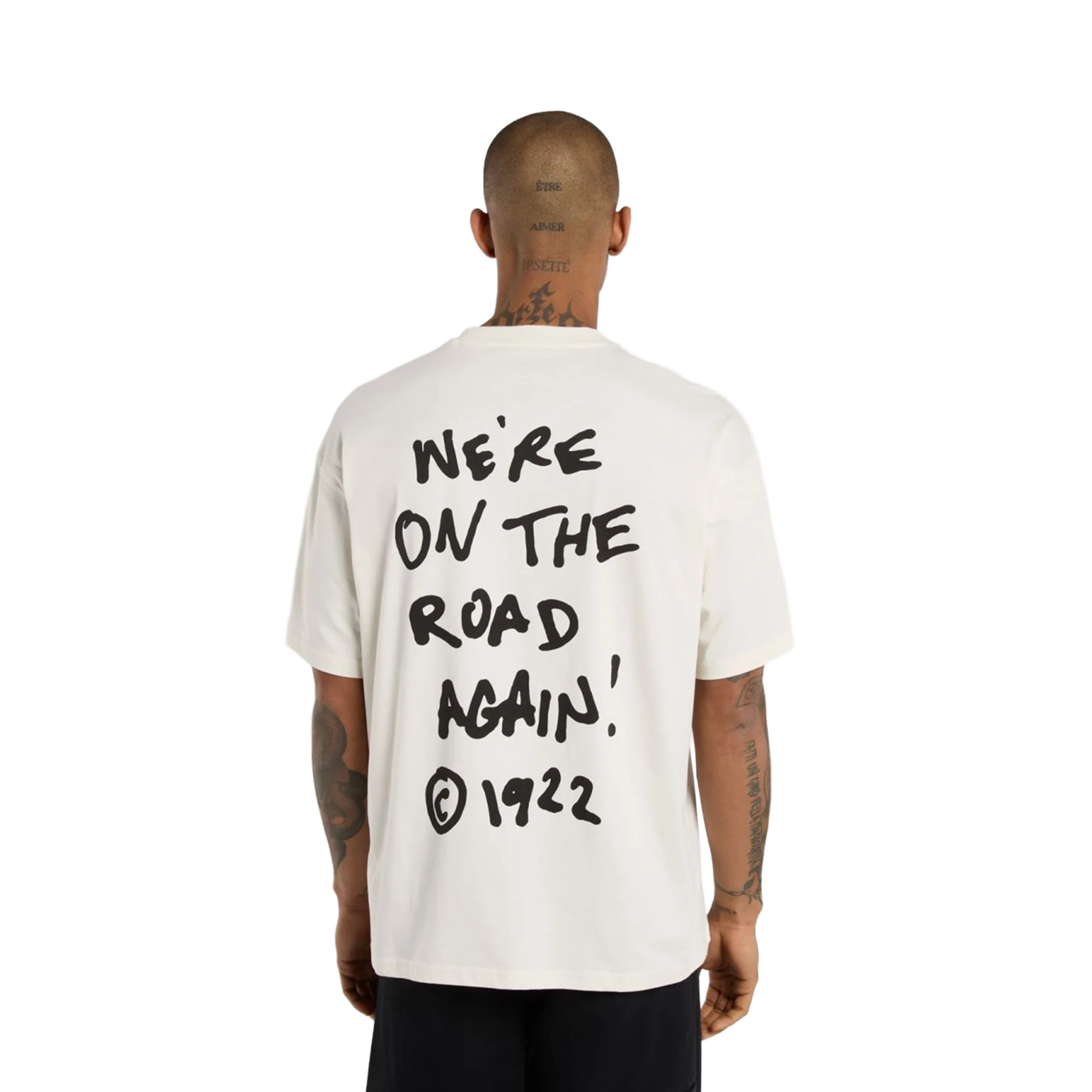 Dickies Sneedville SS Tee Egret