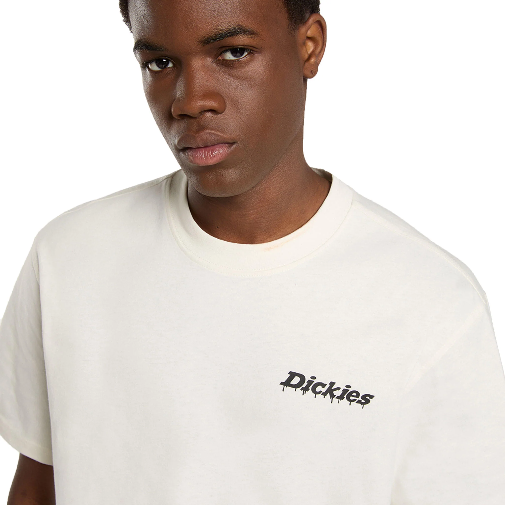 Dickies Statesville SS Tee Egret - Image 4