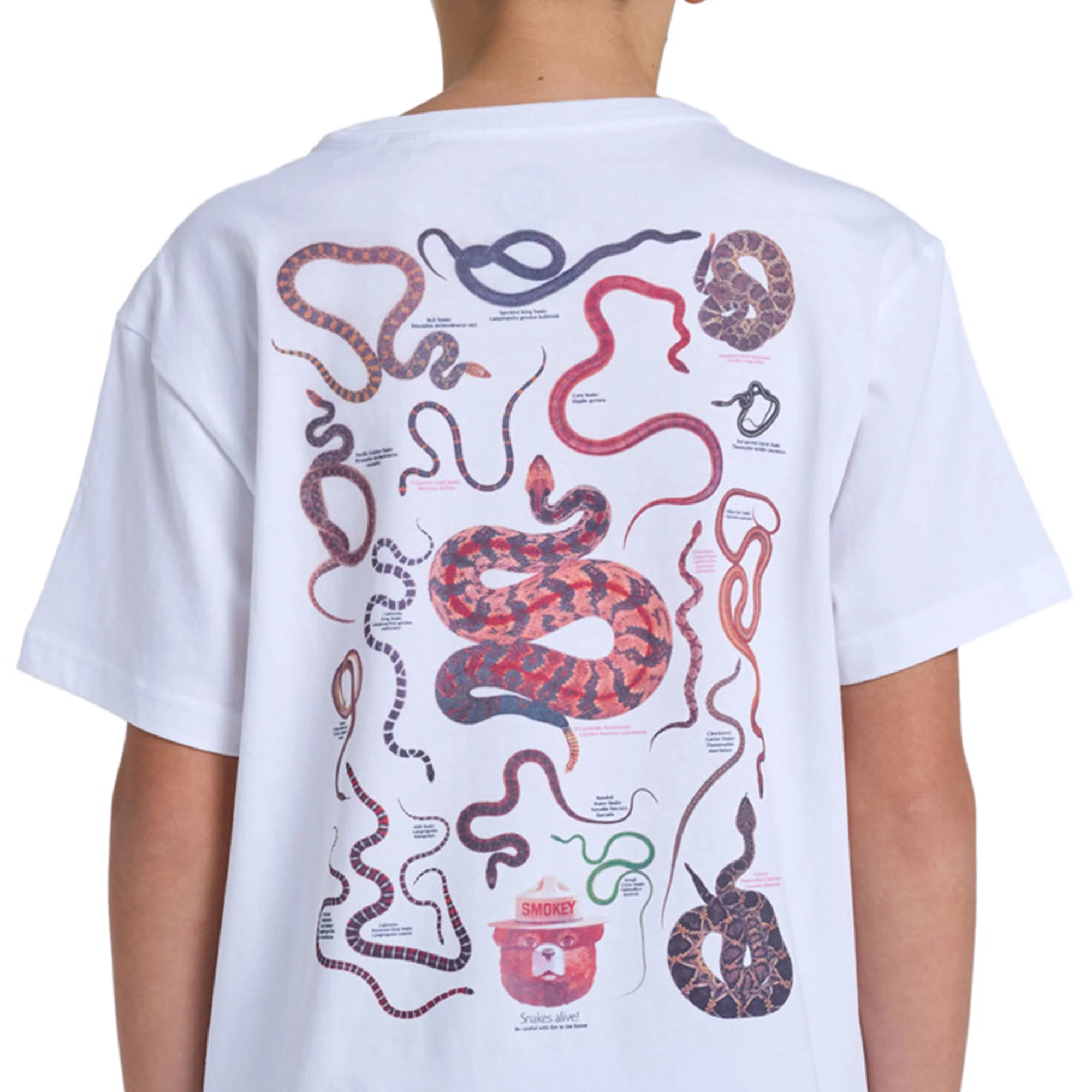 Element SBXE Nest T-Shirt Optic White - Image 4