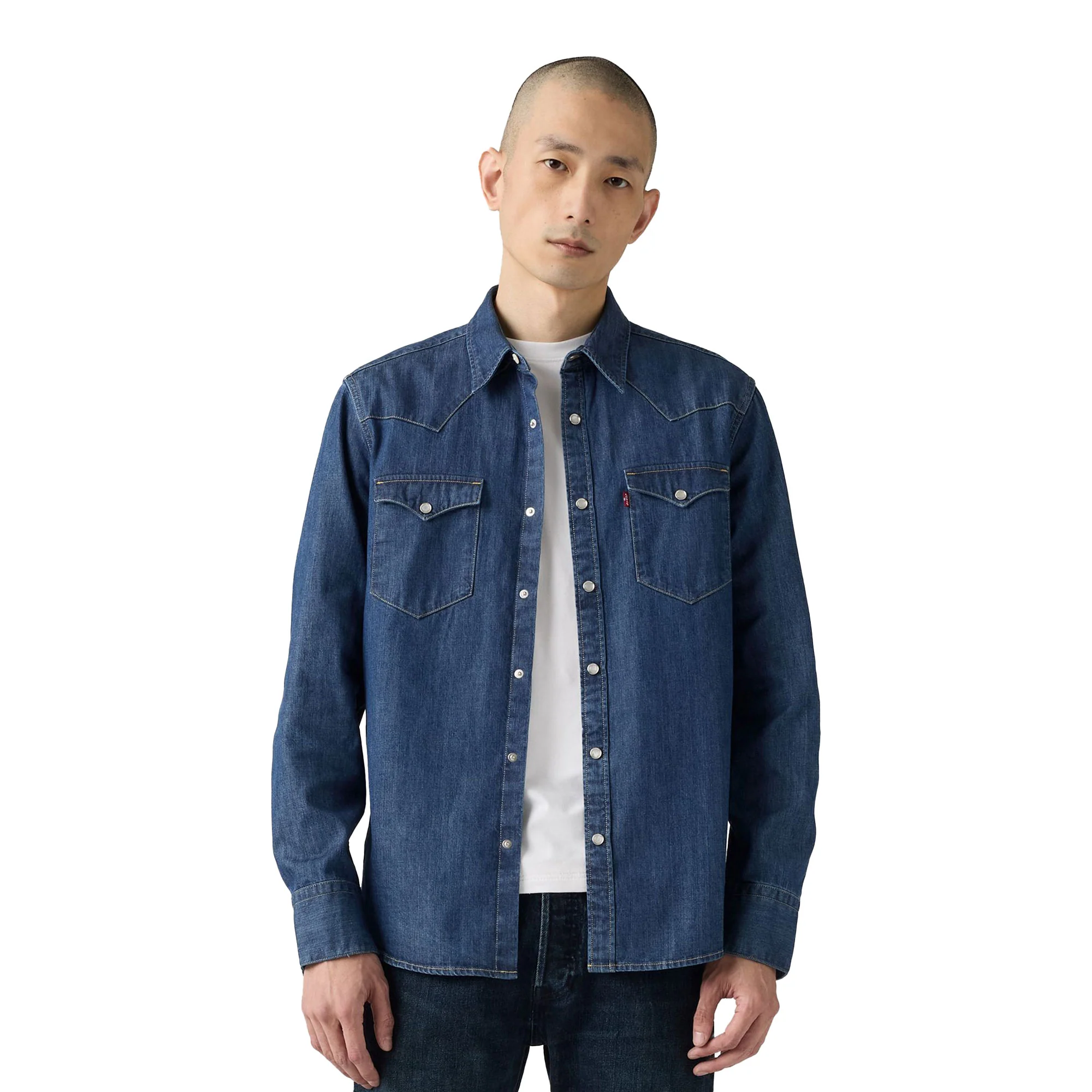 Levis Barstow Western Standard Shirt Lower Haight