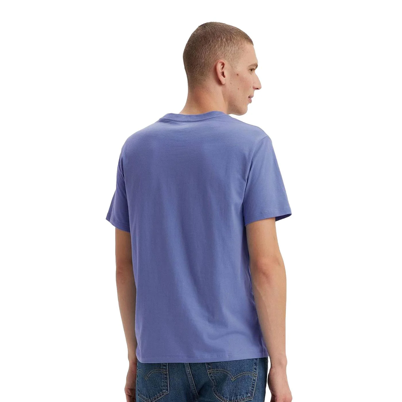 Levis LSE Graphic Crewneck Tee HM Seasonal Fill Bleached - Image 2