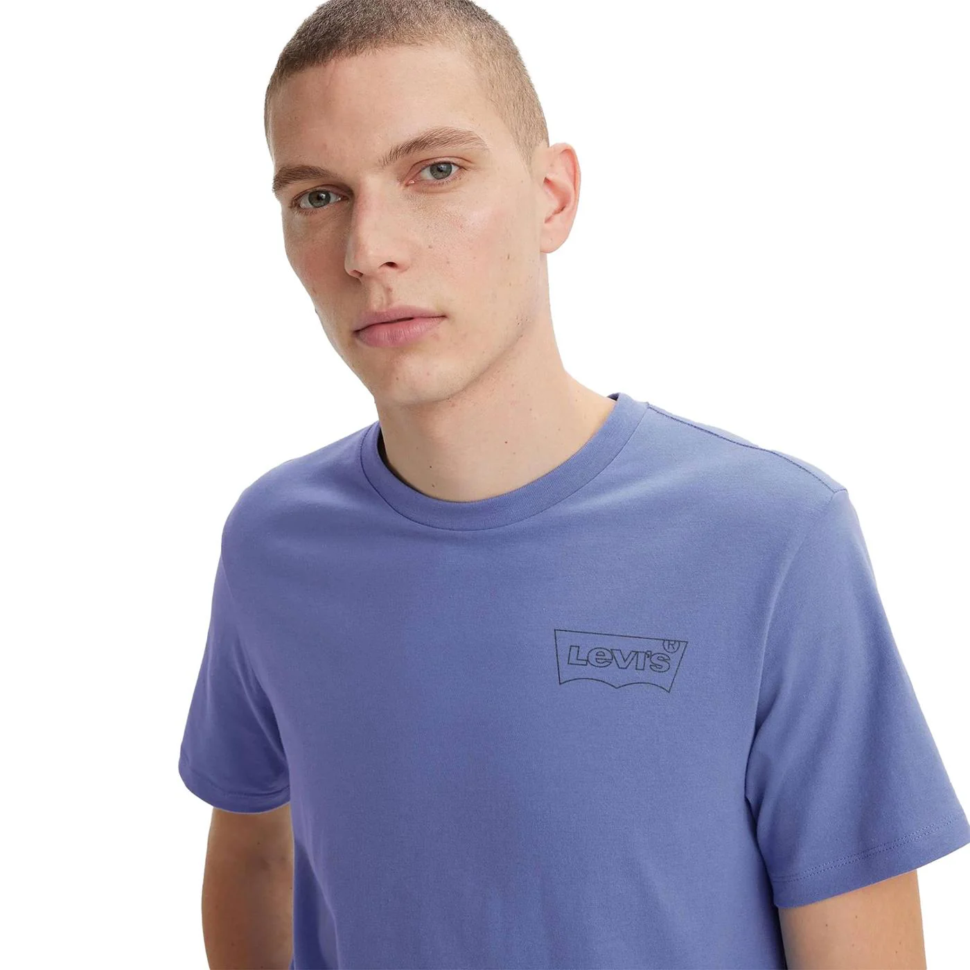 Levis LSE Graphic Crewneck Tee HM Seasonal Fill Bleached - Image 3
