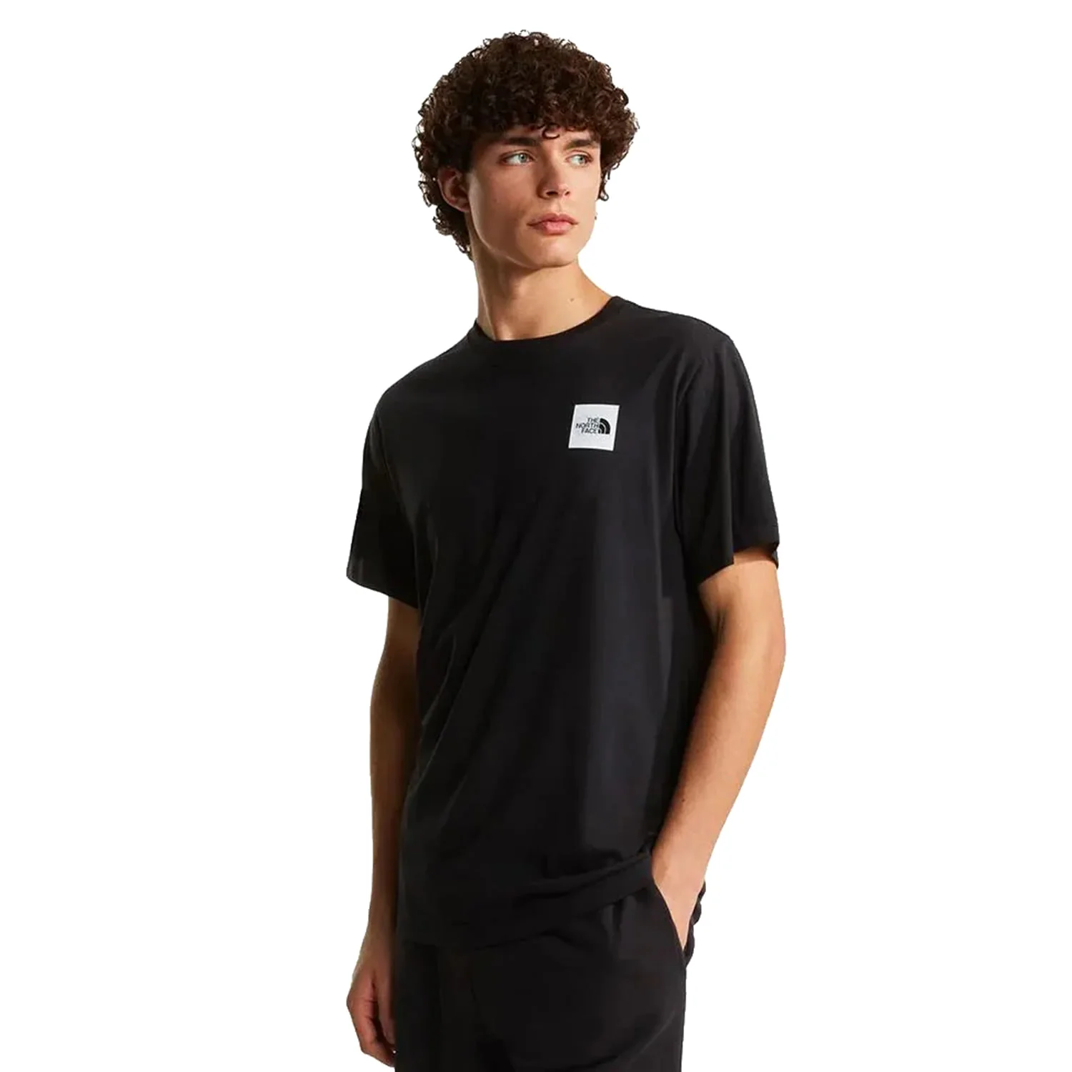 The North Face Evolution Box Half Dome Reg SS Tee TNF Black