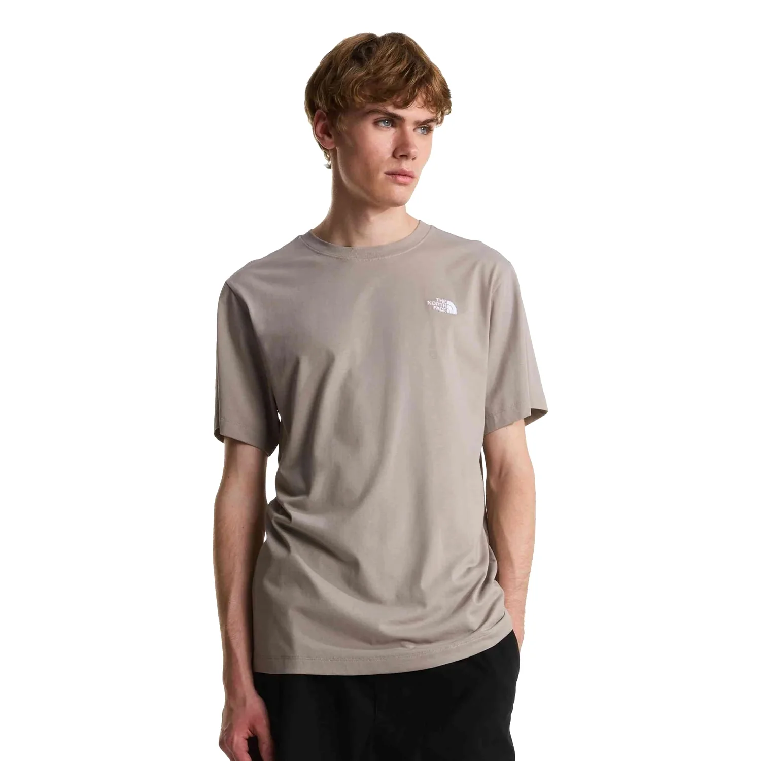 The North Face Evolution Simple Dome Regular SS Tee Stone