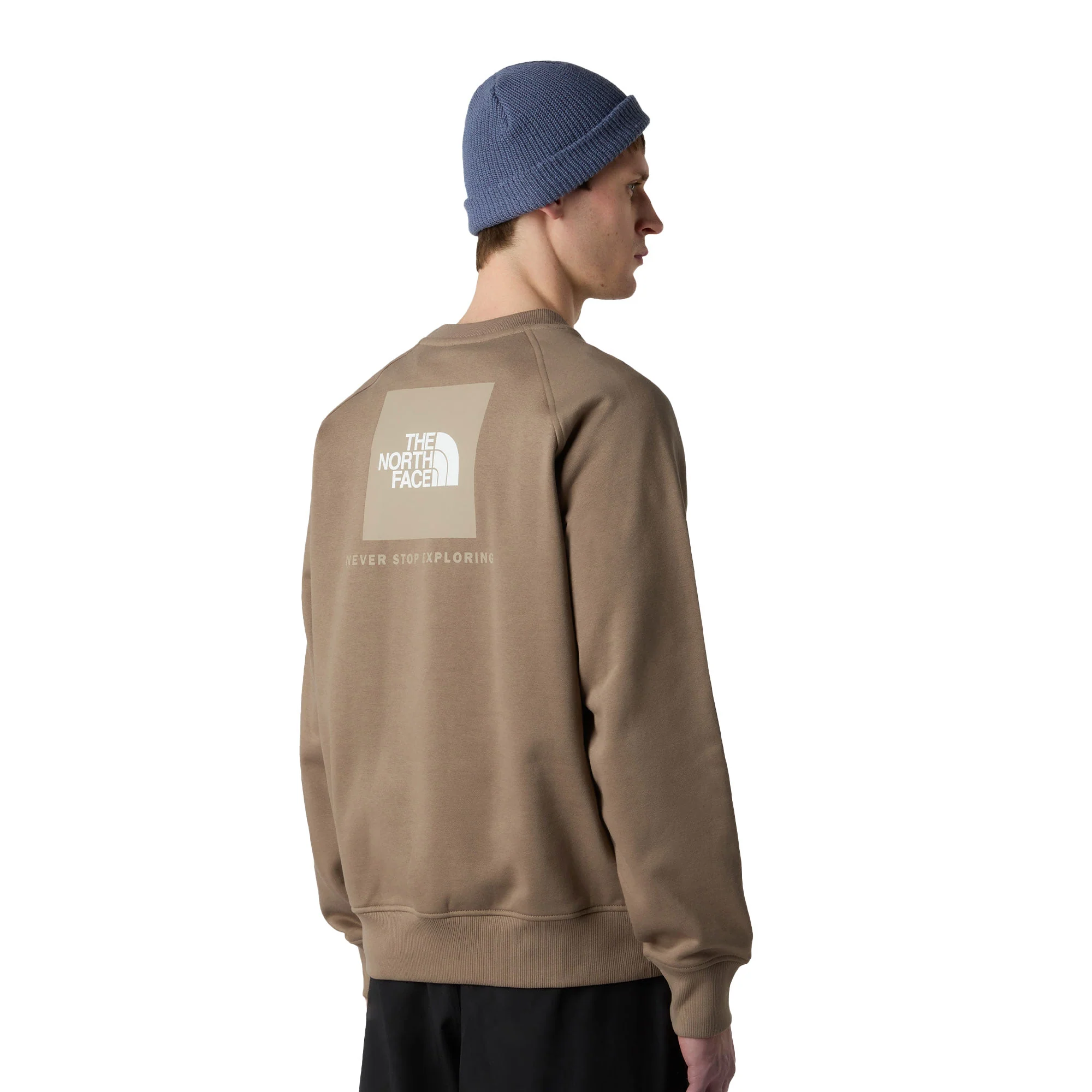 The North Face Raglan Box NSE Crew Mocha Brown/Mushroom
