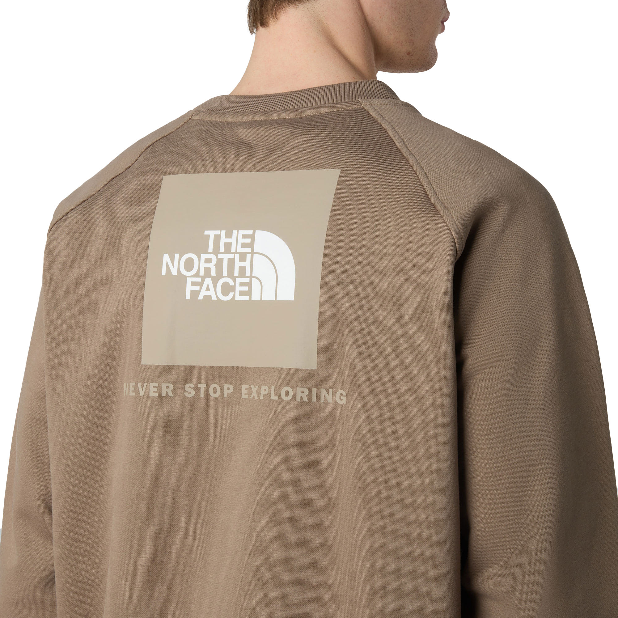 The North Face Raglan Box NSE Crew Mocha Brown/Mushroom - Image 3