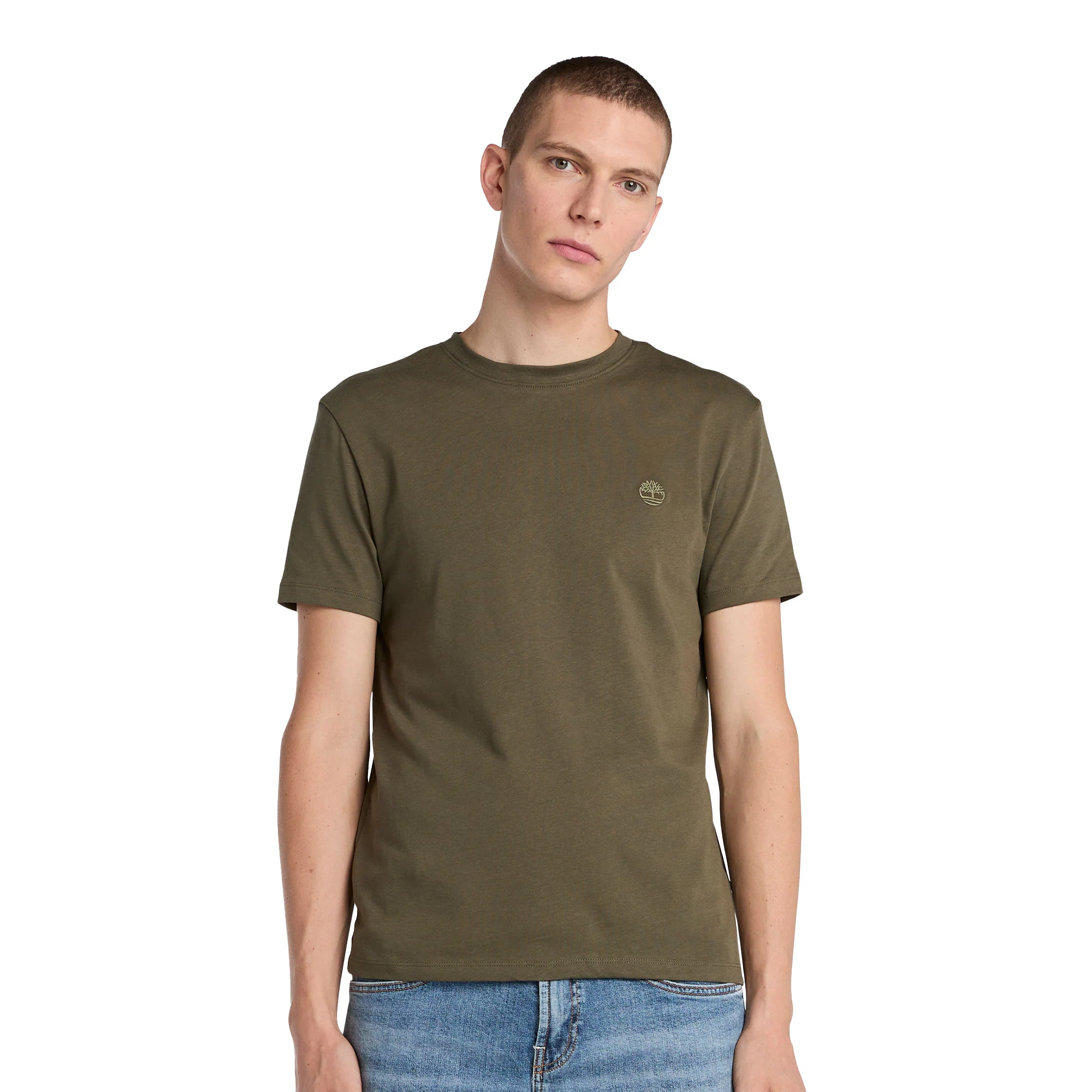 Timberland Dunstan River SS Tee Leaf Green/Cassel Earth